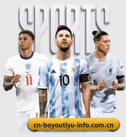博鱼BOY APP